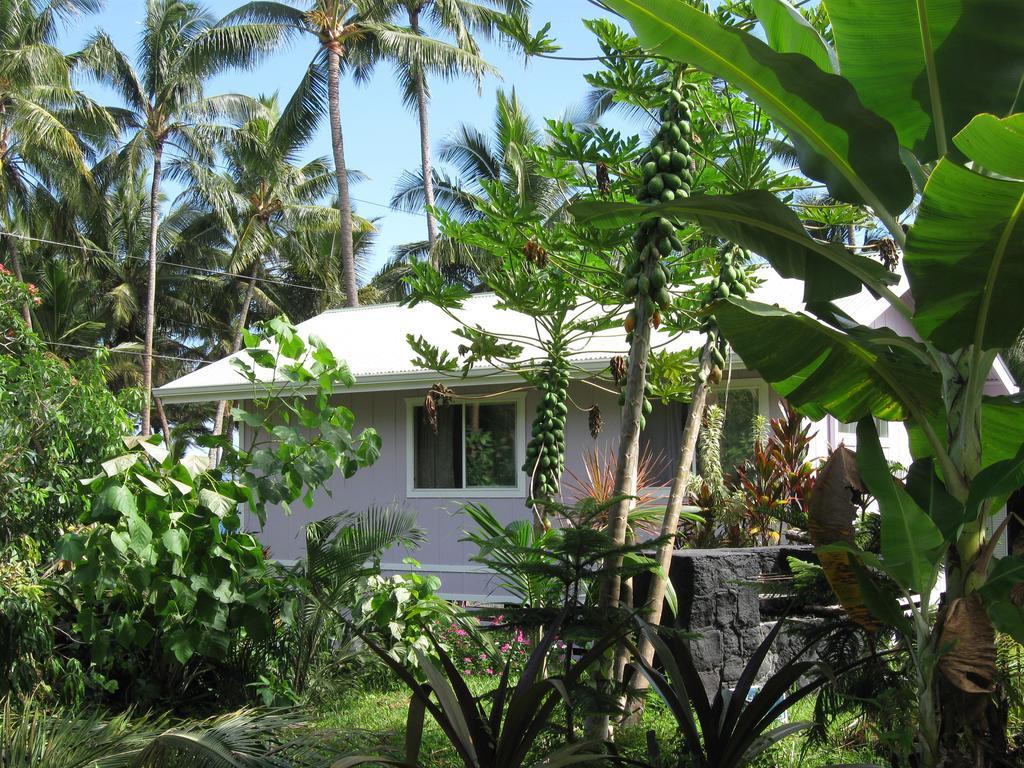 The Dolphin Cottage At Kehena Beach Экстерьер фото